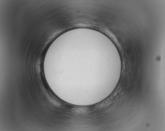 X0000116310106201001111146