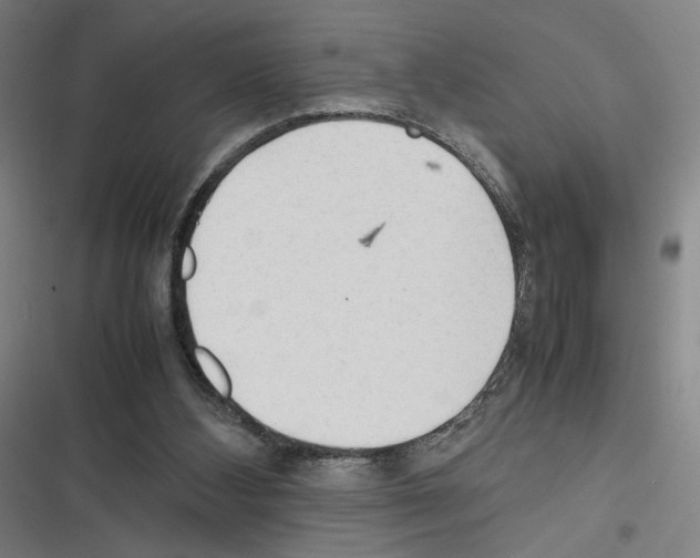 X0000116310108201001111146