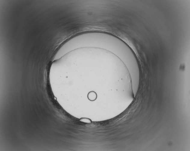 X0000116310109201001111146