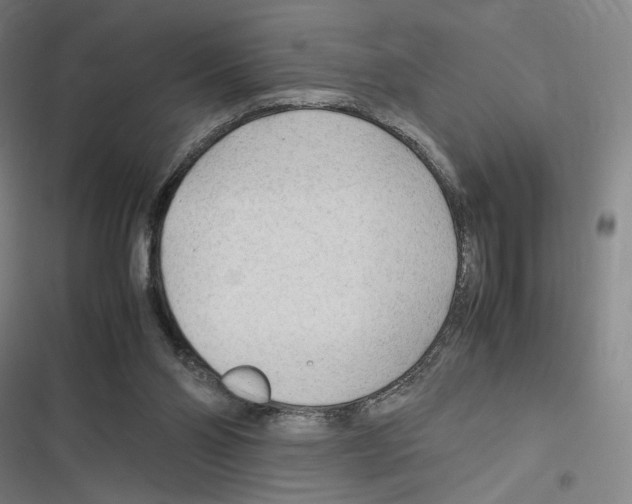 X0000116310110201001111146