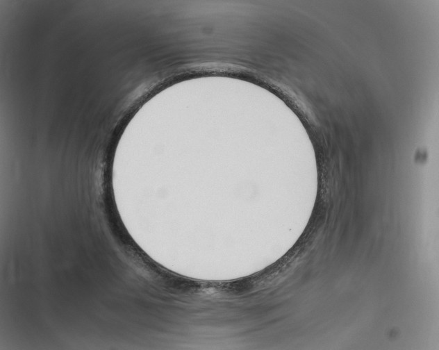 X0000116310111201001111146