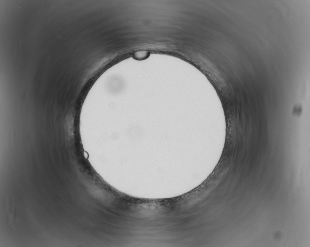 X0000116310112201001111146