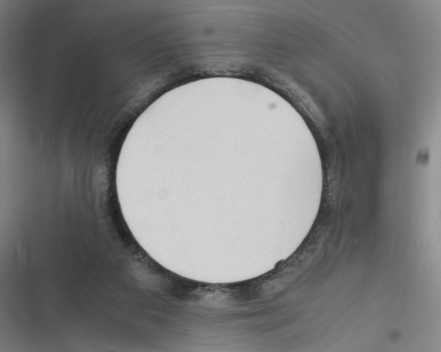 X0000116310113201001111146