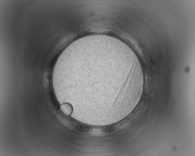 X0000116310114201001111146