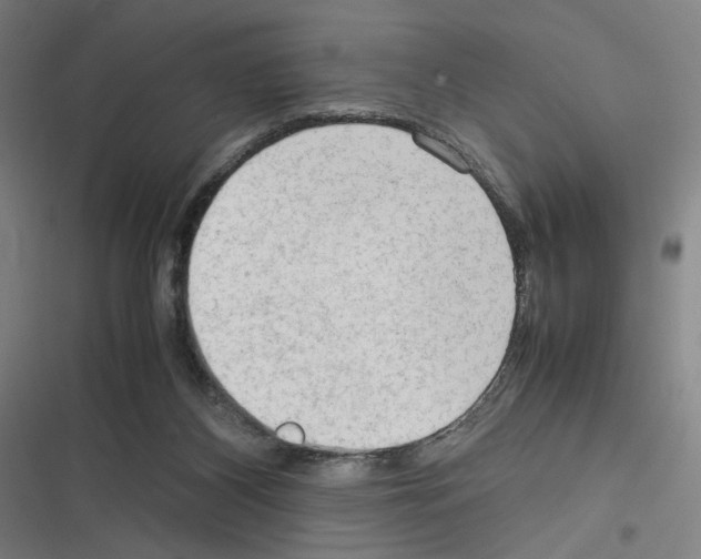 X0000116310116201001111146