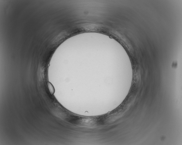 X0000116310117201001111146