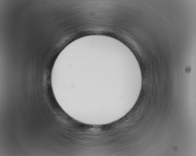 X0000116310119201001111146