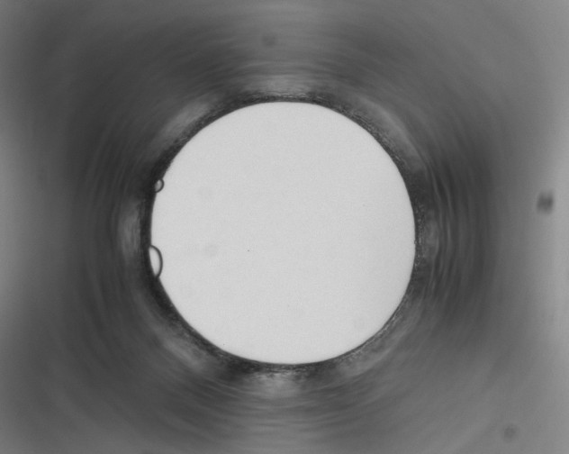 X0000116310120201001111146