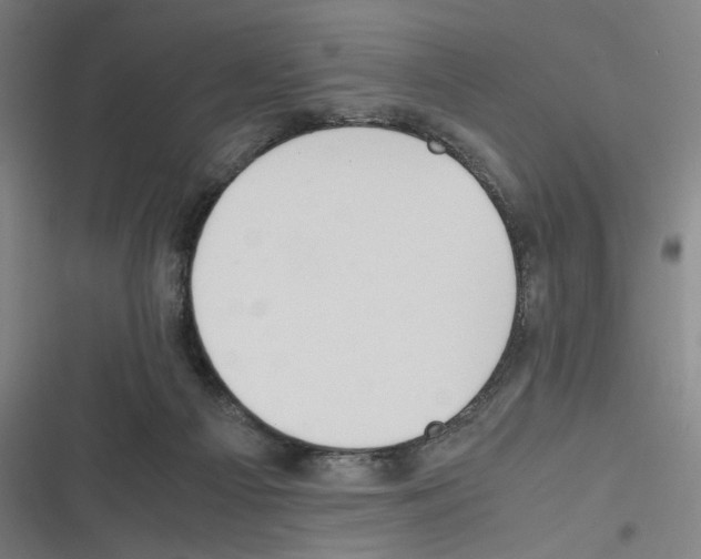 X0000116310121201001111146