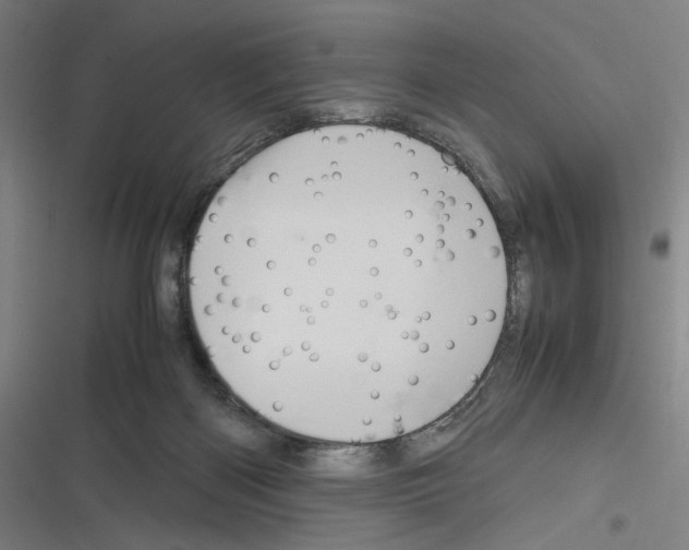 X0000116310122201001111146