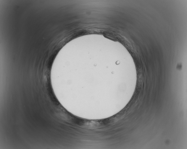 X0000116310125201001111146