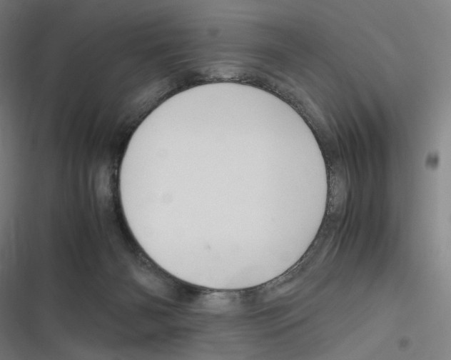 X0000116310126201001111146