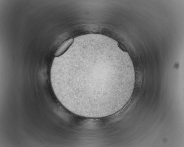 X0000116310128201001111146