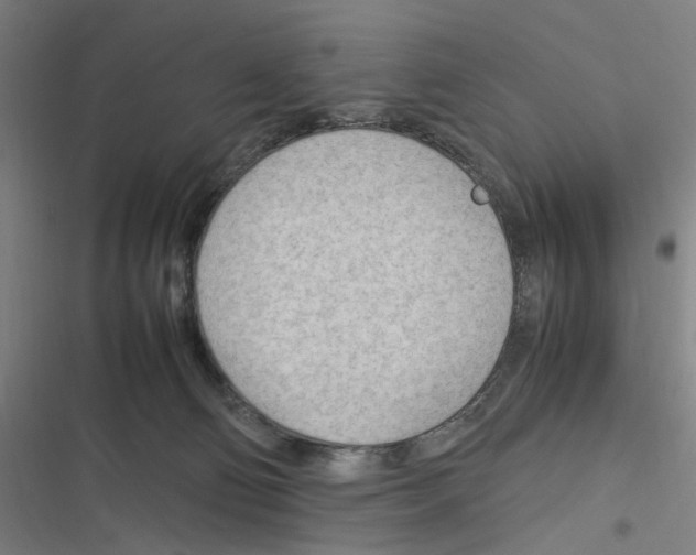 X0000116310130201001111146