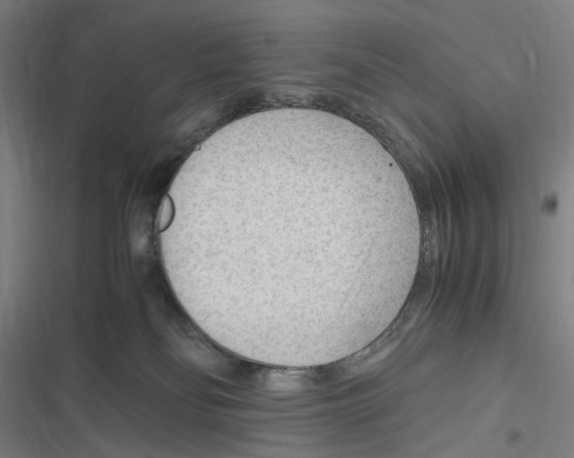 X0000116310134201001111146