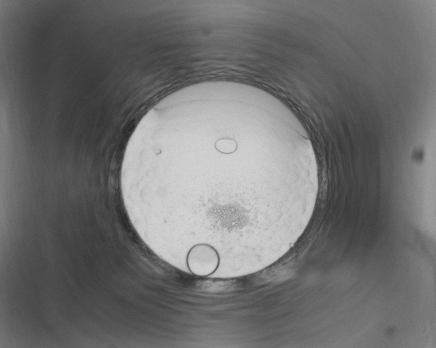 X0000116310135201001111146