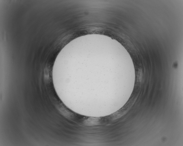 X0000116310138201001111146