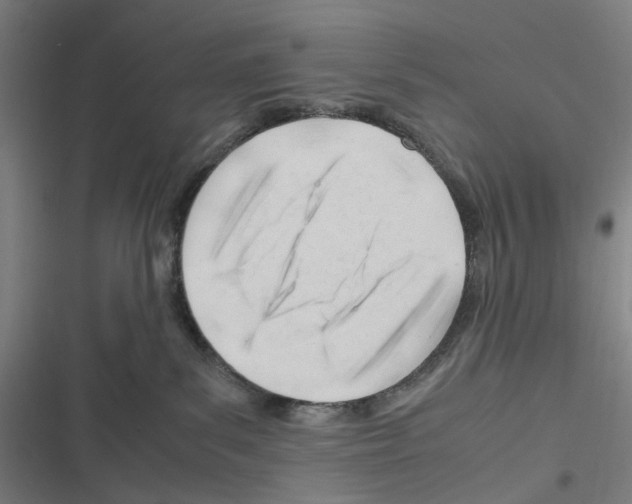 X0000116310139201001111146