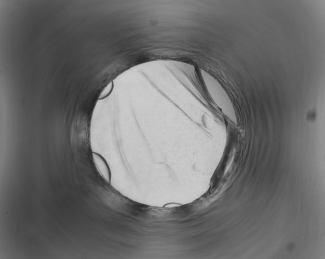 X0000116310143201001111146