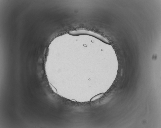 X0000116310144201001111146