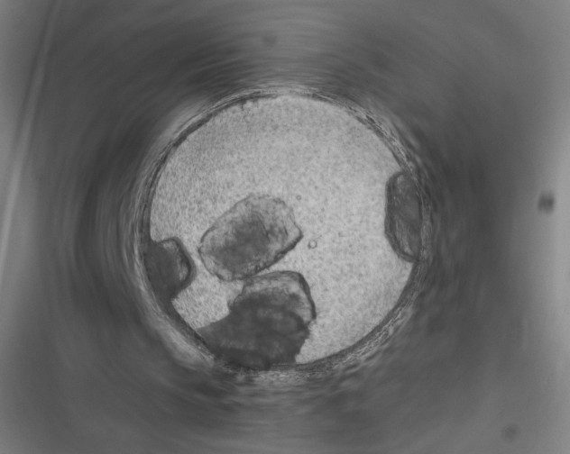 X0000116310145201001111145