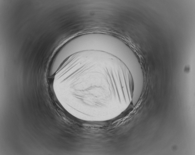 X0000116310146201001111145