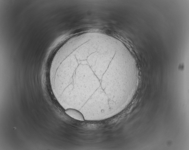 X0000116310149201001111145