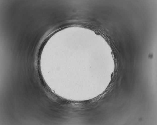 X0000116310150201001111145