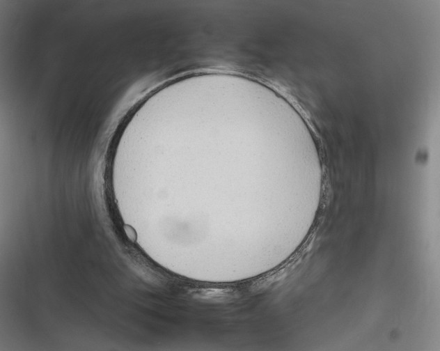 X0000116310151201001111145