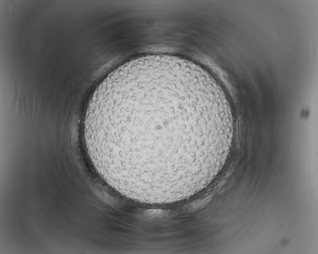 X0000116310153201001111145