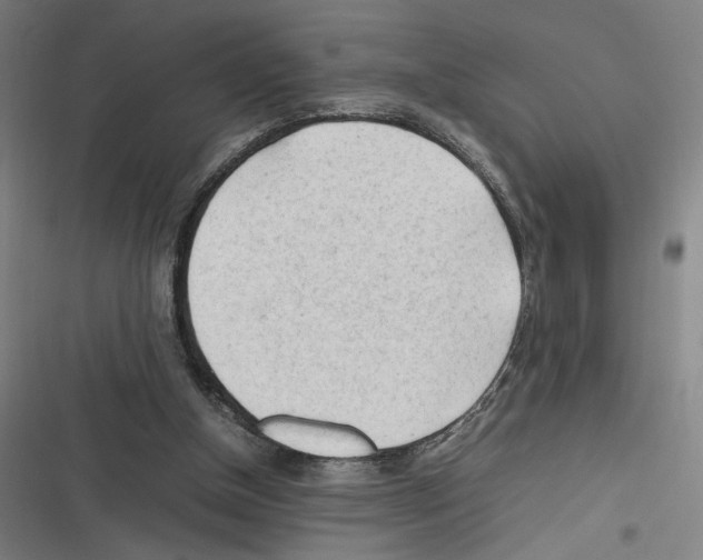 X0000116310154201001111145