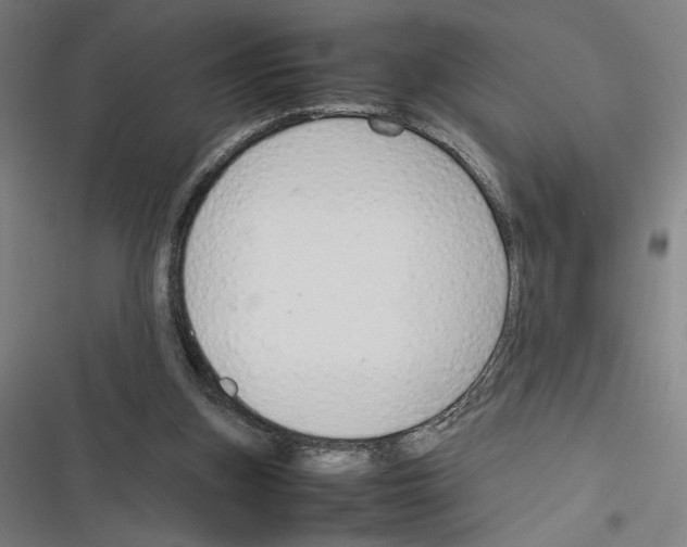 X0000116310155201001111145