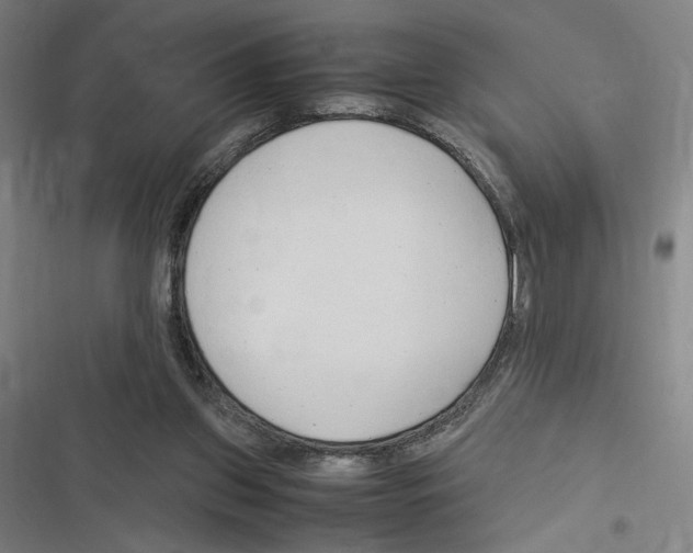 X0000116310157201001111145