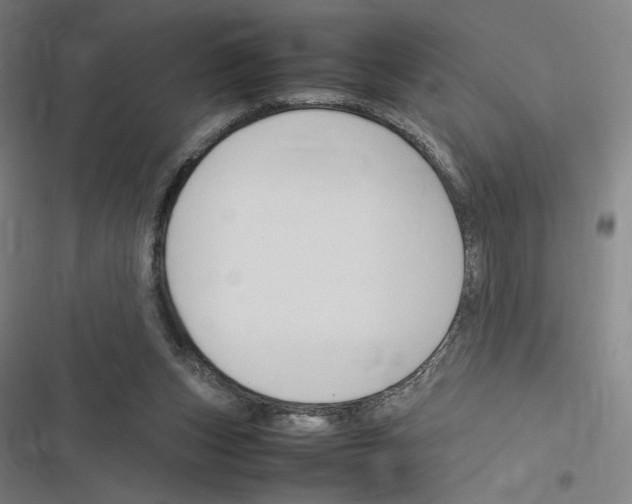 X0000116310159201001111145