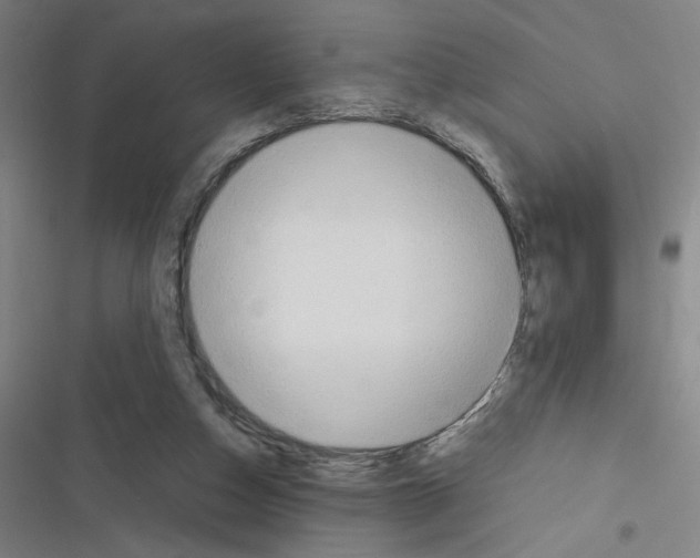 X0000116310162201001111146