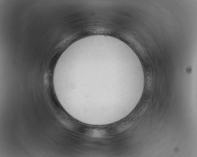 X0000116310165201001111146