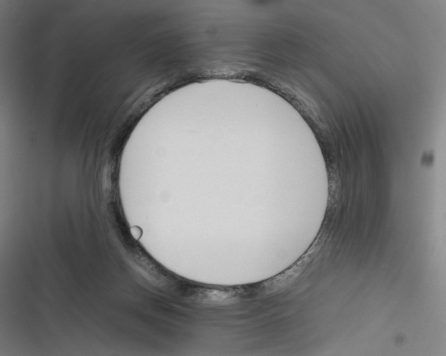 X0000116310166201001111146