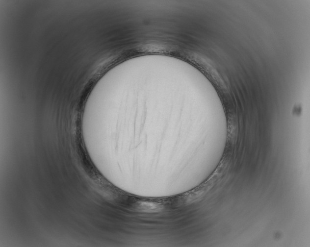 X0000116310167201001111146