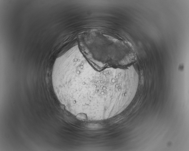 X0000116310169201001111146