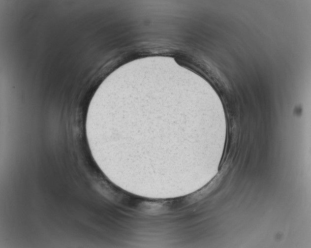 X0000116310170201001111146