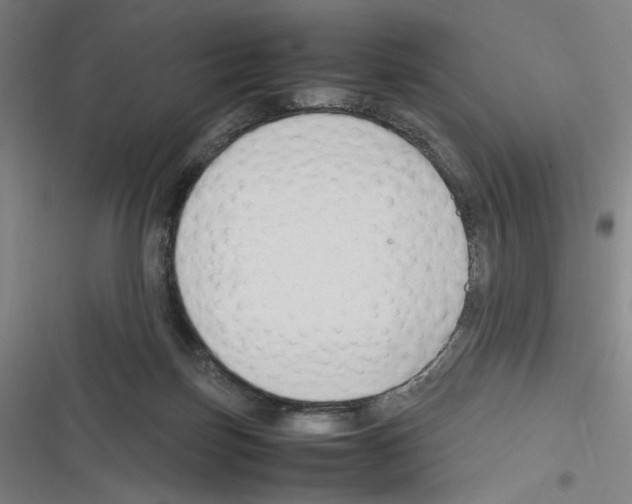 X0000116310171201001111146