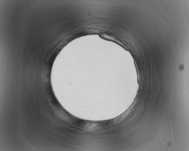 X0000116310174201001111146