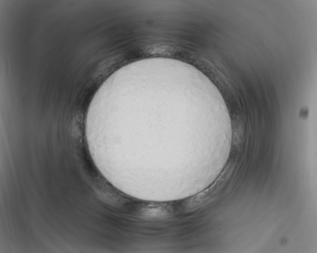 X0000116310175201001111146