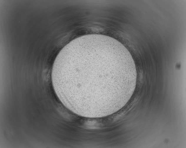 X0000116310177201001111146