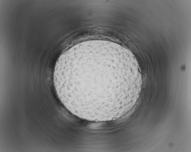 X0000116310178201001111146