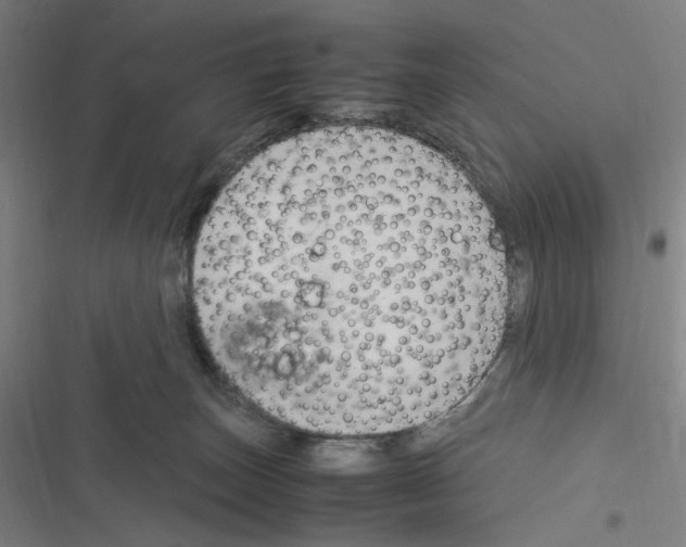 X0000116310179201001111146