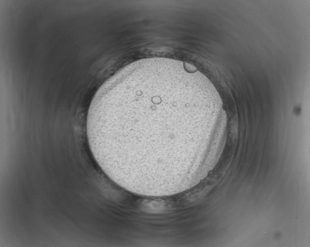 X0000116310181201001111146