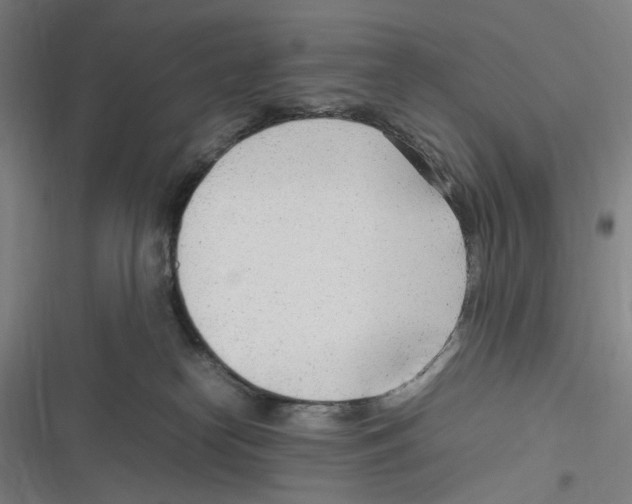 X0000116310182201001111146