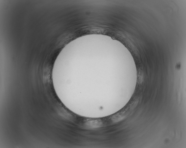 X0000116310185201001111146