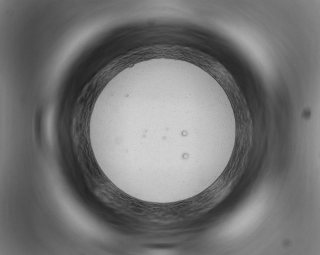 X0000116310189201001111146